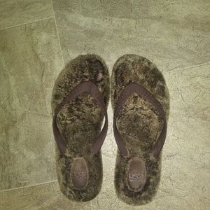 Ladie's Ugg Flip Flops